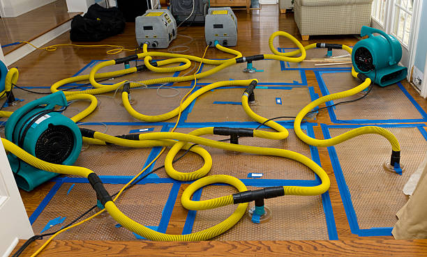 Professional Sewage Cleanup technician working in Italy, TX